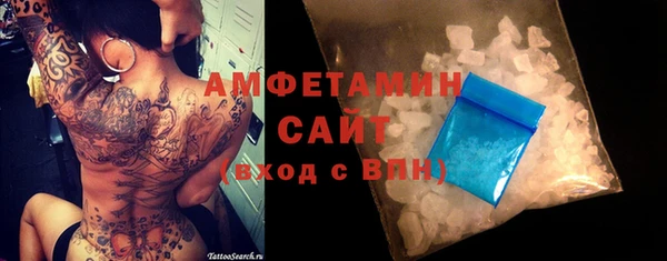 стаф Алзамай