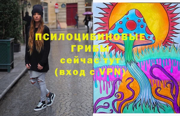 стаф Алзамай