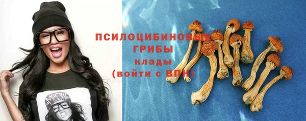 шишки Алексеевка