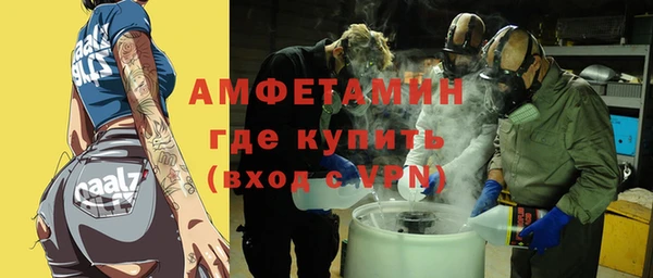 стаф Алзамай